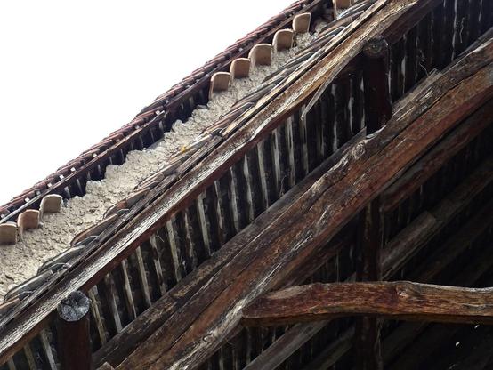 Détail charpente. Bois, gênoise.