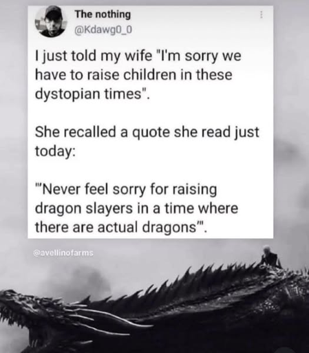 picture description:

Post by "the nothing":
I just told my wife, "i'm sorry we have to raise children in these dystopian times".

She recalled a quote she read just today:

"Never feel sorry for raising dragon slayers in a time where there are actual dragons".