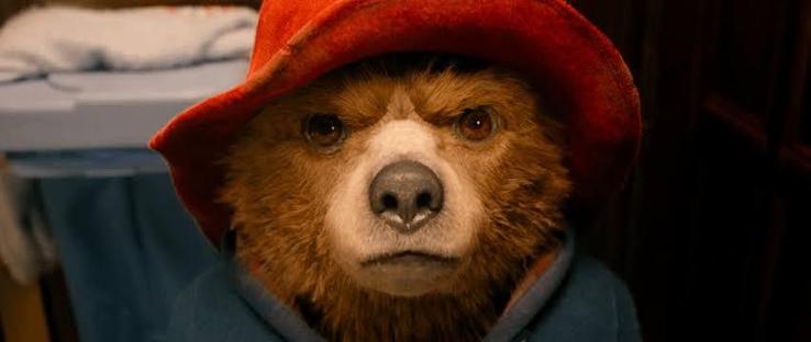 Paddington Bear staring fiercely at the camera 