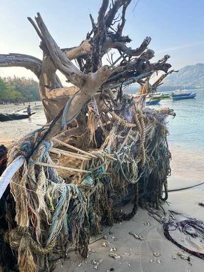 Driftwood root of tree with fishing lines and ropes tangled up