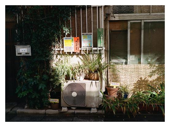 Various potted plants outside a house in Tokyo, framing an AC vent, window, and post box.