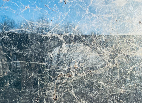 Vue d’un mur en arche flou, à travers une vitre recouverte de toiles d’araignées. La lumière du jour en déclin.