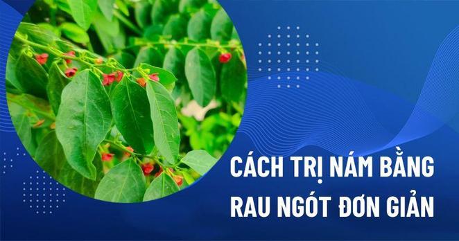 Cách trị nám bằng rau ngót