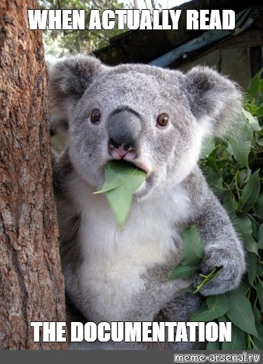 Koala looking amazed!