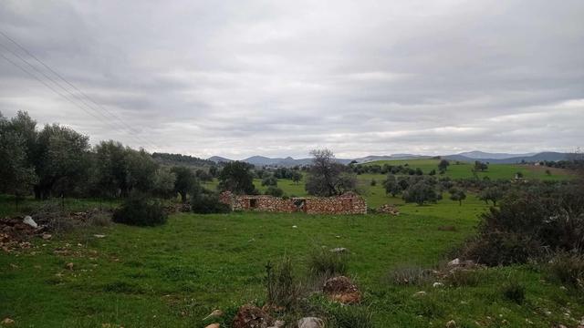 #village #agiosthomas #viotia #liatani #tanagra #dimostanagras