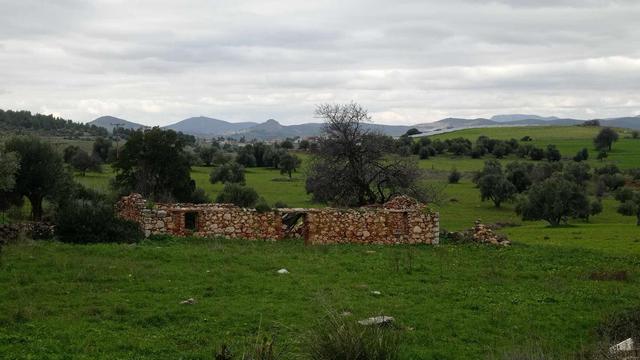 #village #agiosthomas #viotia #liatani #tanagra #dimostanagras