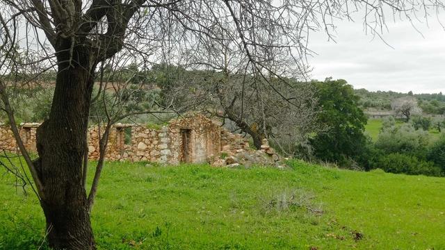#village #agiosthomas #viotia #liatani #tanagra #dimostanagras