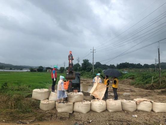 Ciel chargé et menaçant au-dessus des rizières, les lignes électriques sillonnent le vert pays, le vent souffle et couche les herbes des champs en de longues vagues mouvantes. Les travailleurs de la commune, équipés de ponchos de pluie, disposent les uns sur les autres, les gros sacs beiges à gravats, que la pelleteuse remplit de la terre creusée, humide et lourde. Au fur et à mesure s’élève un haut talus qui protégera des inondations le chemin et la parcelle de champ.