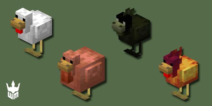 Chickens