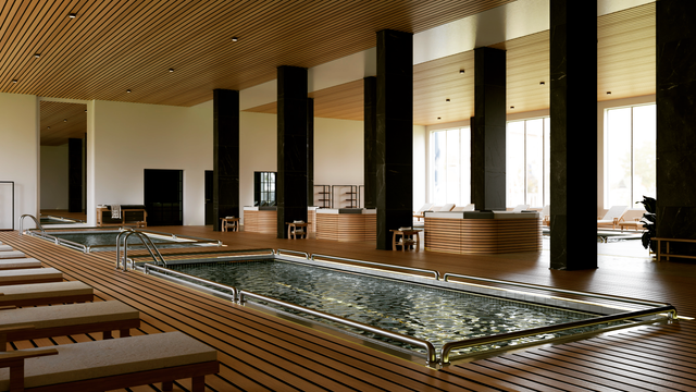 Modern Indoor Pool Facility with Luxury Design and Wooden Accents