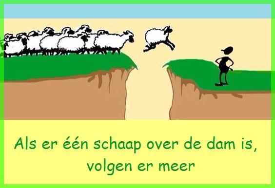 🐑 Als er één schaap over de dam is, (dan) volgen er meer 🐑
🐑 Betekenis: Als er maar eerst iemand is die het voorbeeld geeft (meestal in een moeilijk geval), dan doen de anderen hem wel na.
🐑 Engels; English: They behave like lemmings. / They follow (each other, somebody) like lemmings / They act like lemmings / They follow (one another) like sheep. / They follow the herd (of sheep) / They follow the crowd.
🐑 Frans ; français : Ils se comportent comme des moutons de Panurge. / Ils agissent comme des moutons de Panurge. / Ils suivent comme des moutons de Panurge. / Ce (ne) sont (que) des moutons de Panurge. / Ils ne font que suivre le troupeau (comme des moutons).
🐑 Duits; Deutsch: Ein Schaf folgt dem andern. / Sie benehmen sich wie eine Hammelherde. / Sie laufen mit der Herde (mit). / Alle rennen der Masse nach. / Sie laufen (nur) der Masse nach. / Wo ein Schaf vorgeht, folgen die anderen (nach). / Wo ein Schaf hinüberspringt, springen die anderen nach.
🐑 Italiaans; italiano: (Lo, ti, li …) seguono come (tanti) pecoroni. / Tutti seguono come pecoroni. / Seguono tutti come pecoroni. / Sono (tutti) un mucchio di pecoroni. / Non sono altro che un mucchio di pecore (che belano; …. che si adeguano alla volontà del gregge). / Seguono come pecore il gregge (che li precede; …. che ci precede; … che ci sta davanti; … che ci cammina davanti). / Sono tutti come i montoni di Panurgo. [< lingua francese]