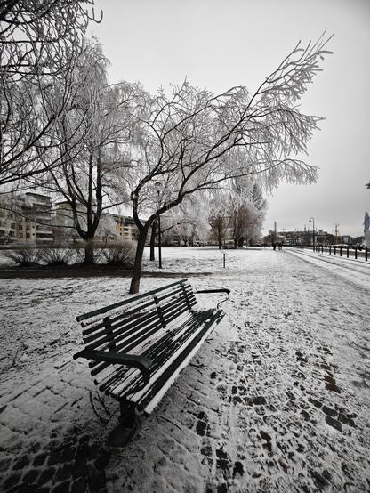 snowy seat, saved just for you