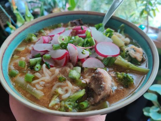 A delicious bowl of vegetables, noodles, and bits of fishes.