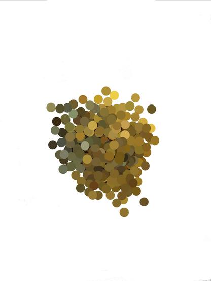 Comme un paquet de confettis renversés à terre, vus d'en haut. Une gamme de pastilles jaunâtres de différentes valeurs, éparpillées. Ce sont des pièces de monnaies dont on a retenu la couleur moyenne, appliquée à sa forme. 
