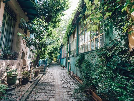 une rue dans le 15ème avec de la végération
