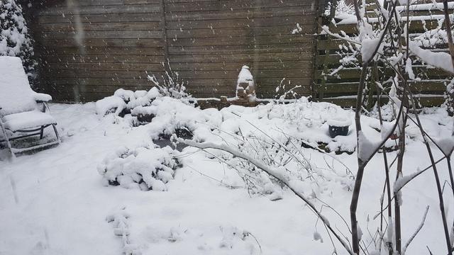 Stukje tuin met ongereptee sneeuw. Op de tuinstoel is te zien dat er zeker 10 cm gevallen is.