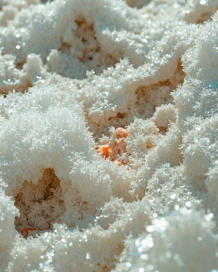 A close-up of a textured, snow-like surface with intricate crystalline formations, softly reflecting light. Hints of warm orange tones emerge from beneath, creating a surreal, dreamlike landscape.