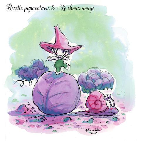 illustration d'un lutin en équilibre sur un choux rouge et un escargot qui s'enfuit. Dessin réalisé à partir de jus de choux rouge.