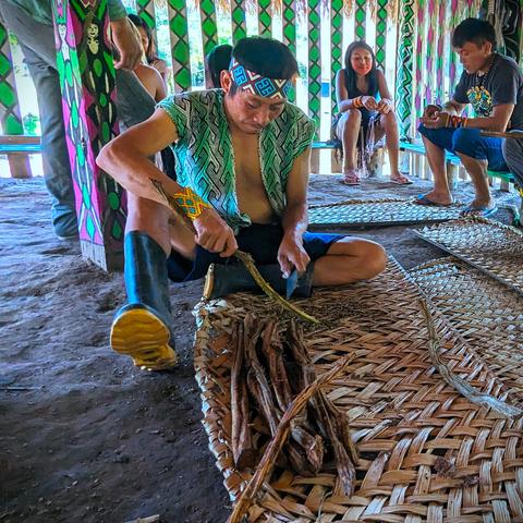 A Huni Kuin medicine man rasping the bark of ayahuasca vine.