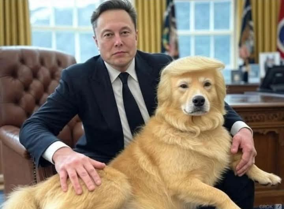 Elon with a lapdog that looks like Donald Trump