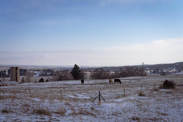 Three horses graze in a snowy field below a wintry blue sky, with an old water tower, scattered trees, and (far away) a city in the background.