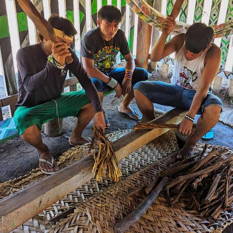 Three Huni Kuin men beating ayahuasca vines with wooden sticks.