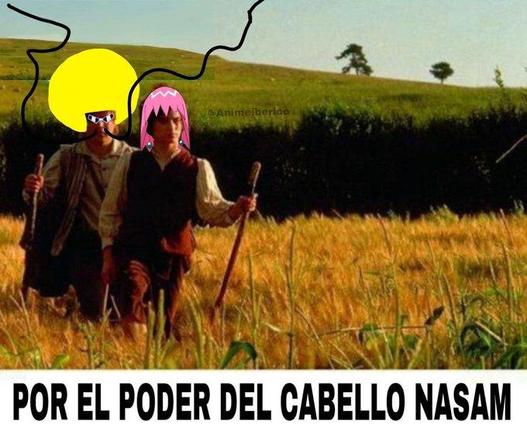 Variación del meme de "Sam va lentín", en el que Frodo caracterizado de Beauty y Sam de Bobobo (del anime Bobobo), y en el texto puede leerse "Por el poder del cabello naSam" jugando con la frase típica de Bobobo "Por el poder del cabello nasal"