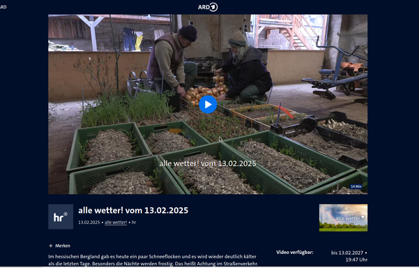 Es handelt sich um das Startbild der ARD-Mediathek von der Sendung "alle wetter!" vom 13.02.2025. Zu sehen sind Quirin Wember und Stefi Clar hinter Kisten mit eingewinterten Möhren. Die zwei Saatgutgärtner*innen schauen sich Zwiebeln an.