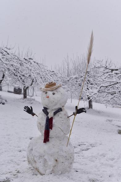 az snowman