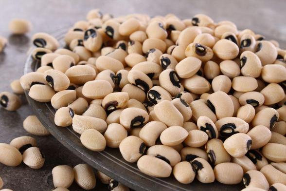 cowpeas on a plate. Photo: Adobe Stock/neillangan