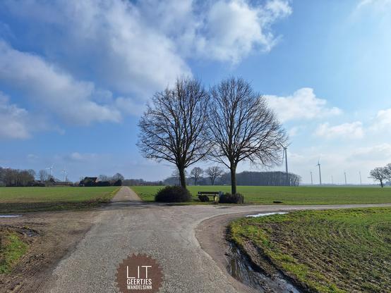 Zwei Bäume, die aussehen, als seien sie Zwillinge. Dazwischen eine Bank. Blauer Himmel, weiße Wolken. Pfützen am Wegesrand. Im Hintergrund sind Windräder zu sehen. Grüne Äcker.