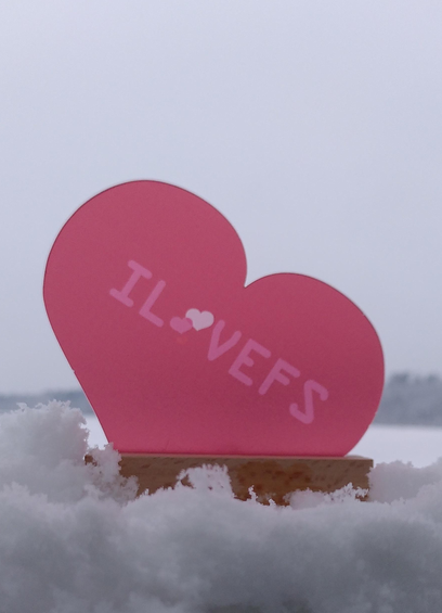 Heart with "I love FS"