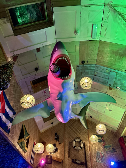 Shark