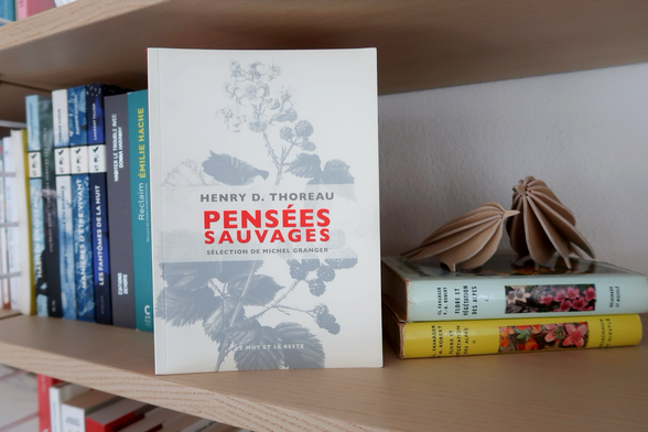 Livre « Pensées sauvages » de Thoreau posé sur une bibliothèque avec sur sa droite, deux oiseaux en bois. 