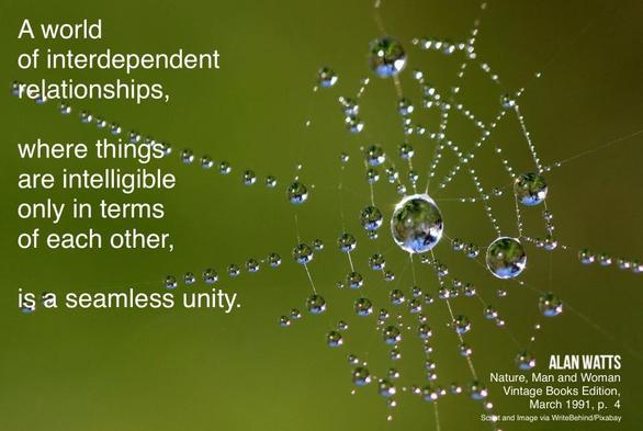 A world of interdependent relationships, where things are intelligible only in terms of each other, is a seamless unity. 
Alan Watts 
Nature, Man and Woman
Vintage Books Edition, p. 4

(Image: water droplets on a spider web)