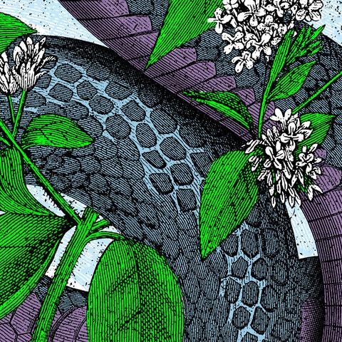 poster detail, snake and flowers