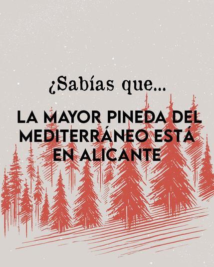 Las fotos contienen texto explicando cómo se quemó voluntariamente un bosque para construir un parque de atracciones llamado Terra Mítica. Los políticos del PP (con Zaplana a la cabeza) le dieron el visto bueno. Por eso, el Partido Popular perdió votos en la región, pero la mayoría de los votantes no son conscientes del peligro que entraña esa formación política.