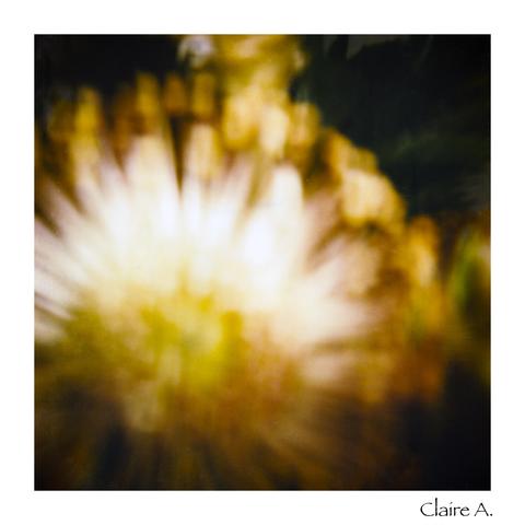 Photographie faite au Polaroïd il y a plus de 30 ans montrant des fleurs mais elles sont volontairement complètement floues. On ne distingue que des tâches de couleurs. Ici, il y a du jaune, du blanc, de l'orange et du noir. Cette photographie est issue d'une série de polaroïds où je voulais mêler rêve et réalité, montrer ce sentiment d'irréalité dans nos vies si cartésiennes. Il s'agit d'une étude de formes et de couleurs.