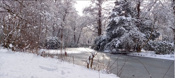 Tiergarten mit Schnee.