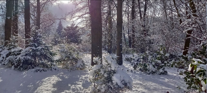 Tiergarten mit Schnee.
