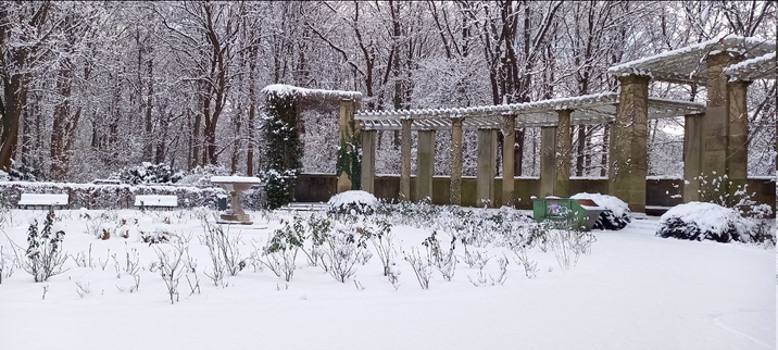 Rosengarten (Tiergarten) mit Schnee.