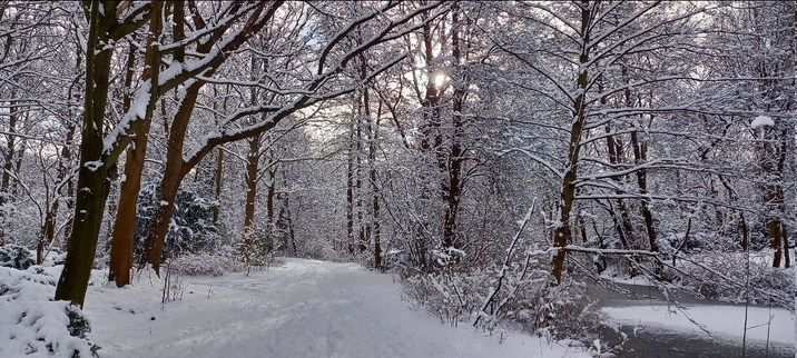 Tiergarten mit Schnee.