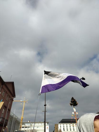 Eine Ace-Flagge im Wind, dahinter der Karlsruher Narrenbaum.