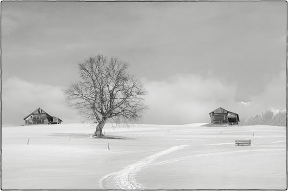 Schwarzweissfoto einer Winterlandschaft  mit zwei Scheunen, einem Baum, einer Bank und Fussspuren im Schnee.