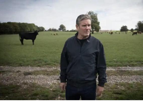 Keir Starmer standing uselessly in a field, squinting at the horizon, a cow behind him has more gravitas...