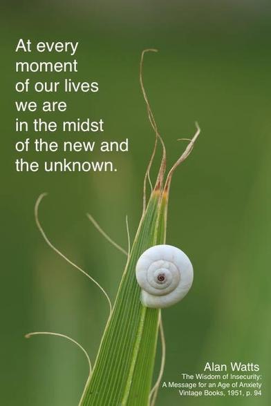 At every 
moment
of our lives 
we are 
in the midst
of the new and
the unknown.
Alan Watts
The Wisdom of Insecurity:
AMessage for an Age of Anxiety
Vintage Books, 1951, p. 94
(Image: a snail on a stalk of grass)
