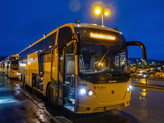 Bus auf den Lofoten