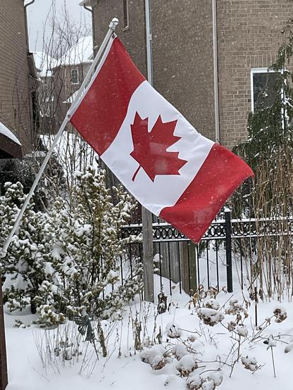 Canadian flag flying proudly on Flag Day, February 15th 2025 behind SpaDogs Lab.