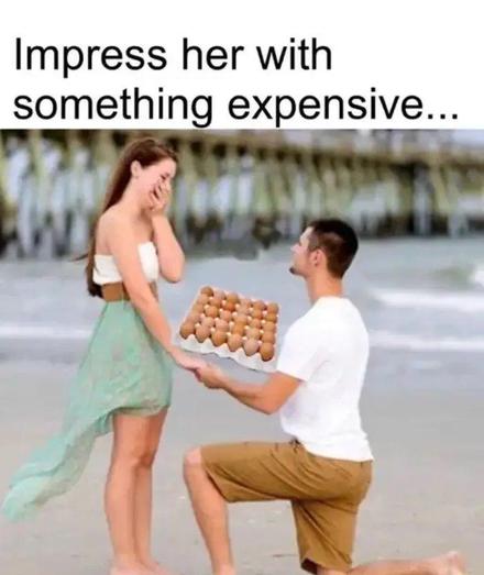 Ein humorvoll bearbeitetes Bild zeigt einen Mann, der am Strand auf einem Knie sitzt und einer Frau einen Heiratsantrag macht. Anstelle eines Rings hält er jedoch ein großes Tablett mit Eiern in den Händen. Die Frau wirkt gerührt und hält lachend eine Hand vor ihren Mund. Über dem Bild steht der Text: "Impress her with something expensive..." („Beeindrucke sie mit etwas Teurem...“). Das Meme spielt augenzwinkernd auf die gestiegenen Preise von Eiern an