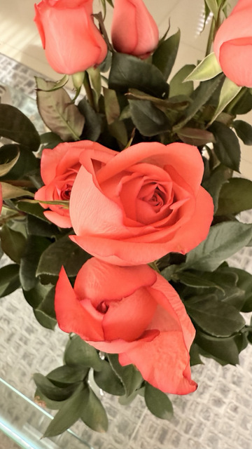 Rosas 